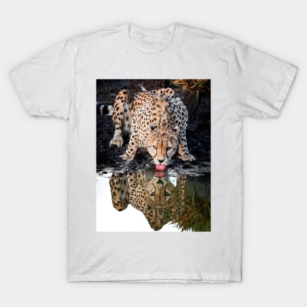 Tiger T-Shirt by HJDesign